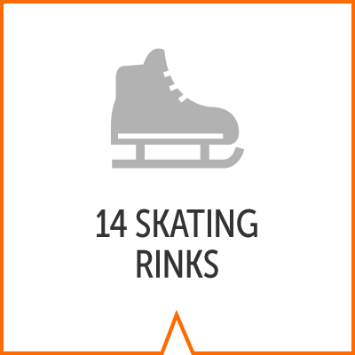 icon reads 14 skating rinks